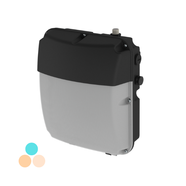 Easton Wallpack Tri-Colour IP65 40W